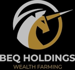 beq-holdings-logo-dark.png_250x232.jpg